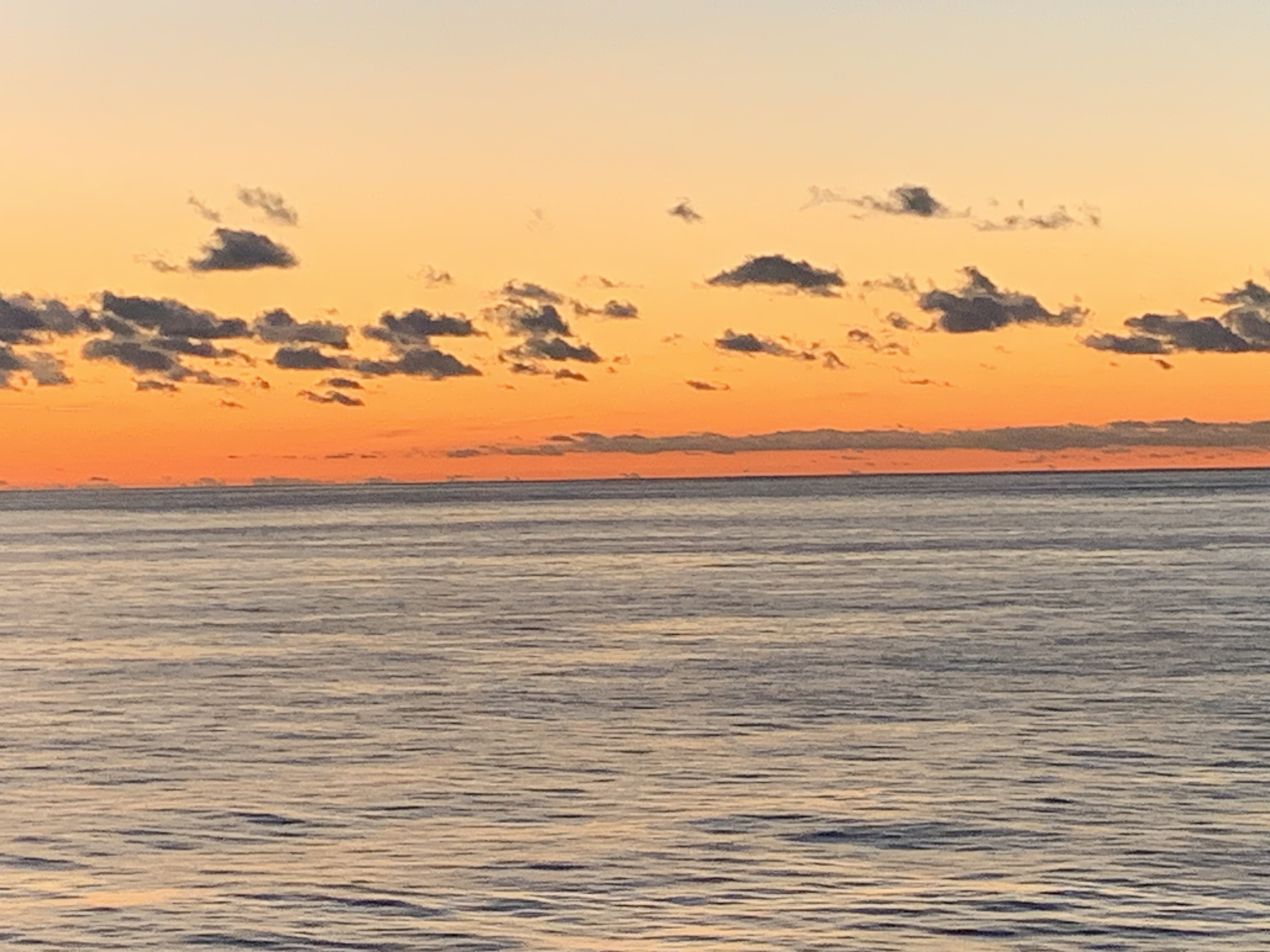 Chic Vacations  logo